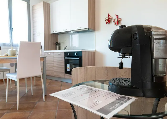 Gold Oasi - Business Solution Ferrara